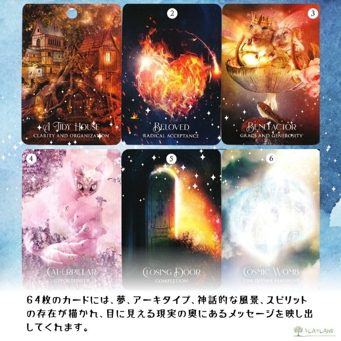 Amazon.co.jp: シャーマンズ・ドリーム・オラクル The Shaman's Dream